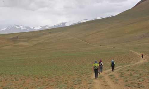 TREKKING IN LADAKH | CHANGTANG 2017